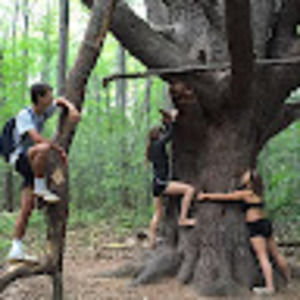 Meet your Posher, Arden